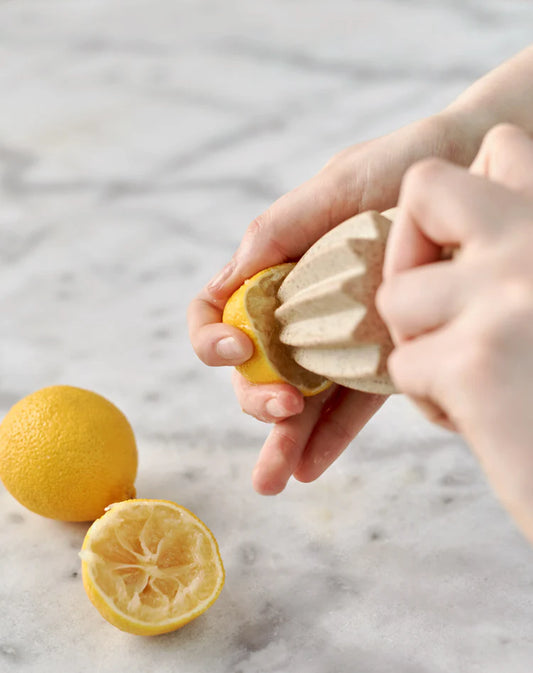 Granite Citrus Juicer