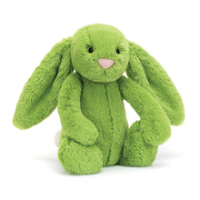 Load image into Gallery viewer, Jellycat Bashful Apple Bunny - Medium
