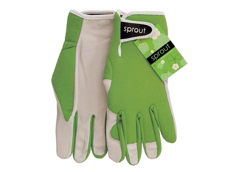 Sprout Goatskin Gloves | Olive